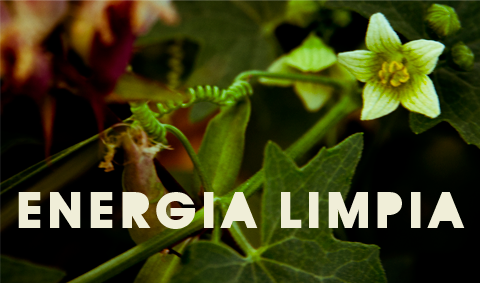 sistema par captacion de energía limpia