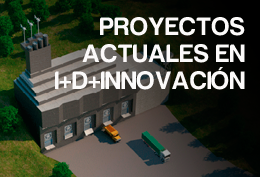 proyectos actuales fundación disi