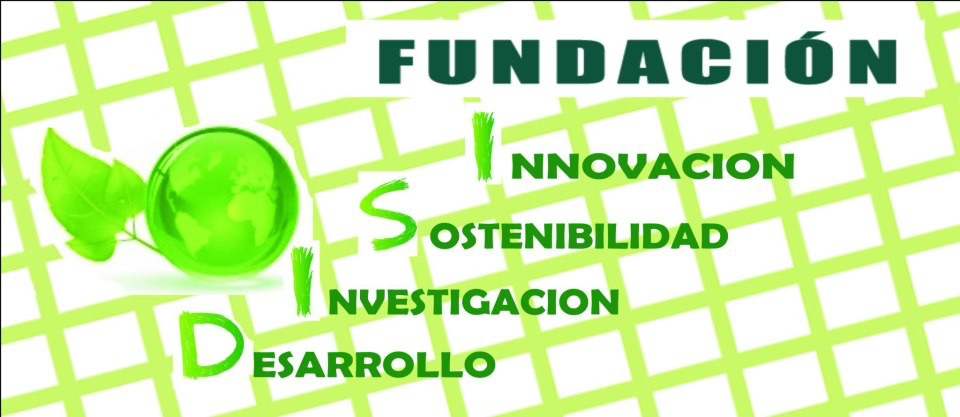 fundacion disi logo